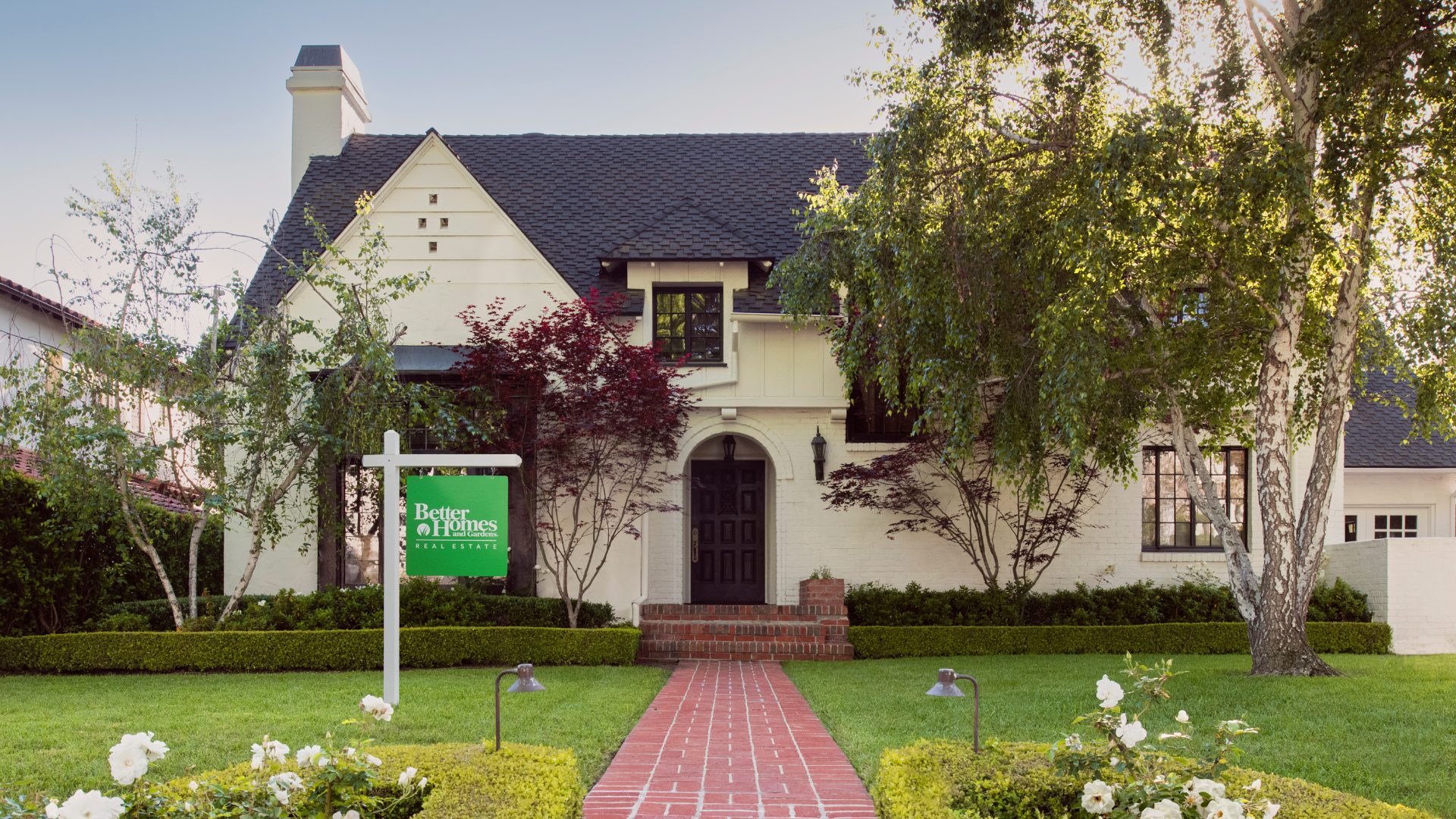 Alanie - Website Assets (11)